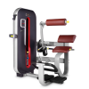 Разгибание спины Bronze Gym MT-009