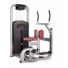 Торс-машина Bronze Gym MV-011