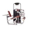 Сгибание ног сидя Bronze Gym MV-013