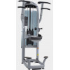 Подтягивания и отжимания Matrix G3 S60