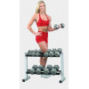 Подставка для гантельного ряда Body Solid Powerline PDR282 (5 пар)